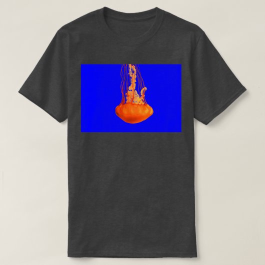 Graceful Dance T-shirt (Design voorkant)