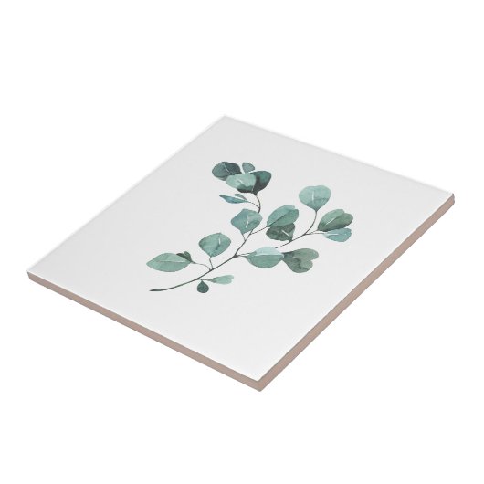 Graceful Eucalyptus Tegeltje (Zijkant)