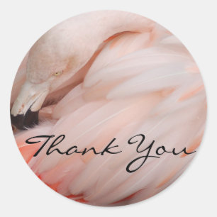 Graceful Flamingo dank u Ronde Sticker