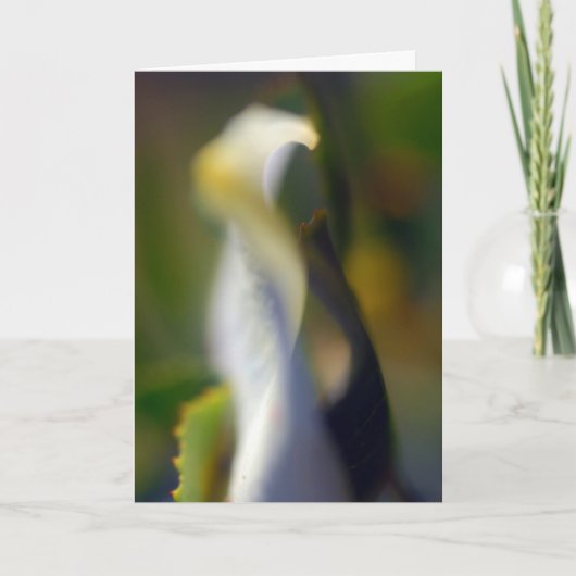 Graceful Floral Folded Blank Card Bedankkaart (Voorkant)