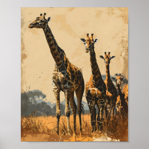 Graceful Giants:  Giraffes Poster