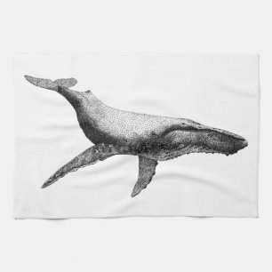 GRACEFUL HUMPBACK WHALE THEEDOEK