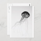 Graceful Jellyfish Briefkaart (Voorkant / Achterkant)