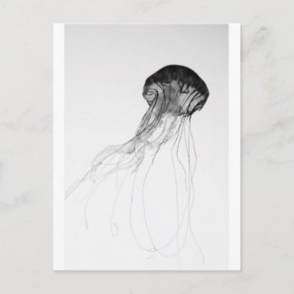 Graceful Jellyfish Briefkaart