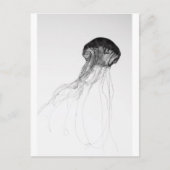 Graceful Jellyfish Briefkaart (Voorkant)