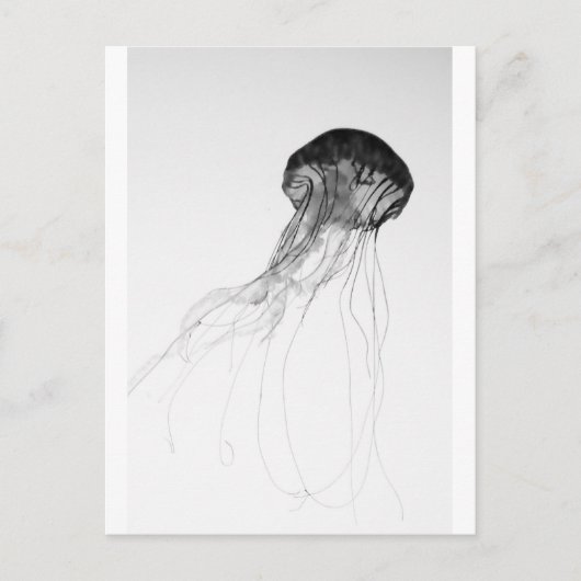 Graceful Jellyfish Briefkaart (Voorkant)