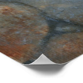 Graceful Koi II Poster (Hoek)