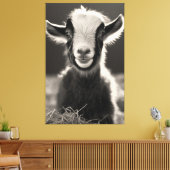 Graceful Monochromatische Expressieve Baby Geitenp Canvas Afdruk (Insitu (Woonkamer))