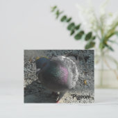 Graceful Pigeon Briefkaart (Staand voorkant)