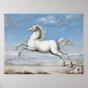 Graceful Power: Witte Paard - Retro artwork Poster