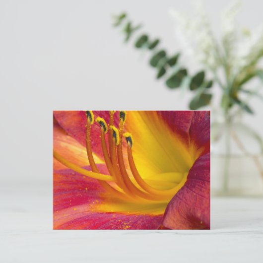 Graceful Red Daylily Briefkaart (Staand voorkant)