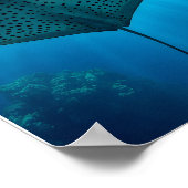 Graceful Spotted Ray: onderwater sereniteit Poster (Hoek)
