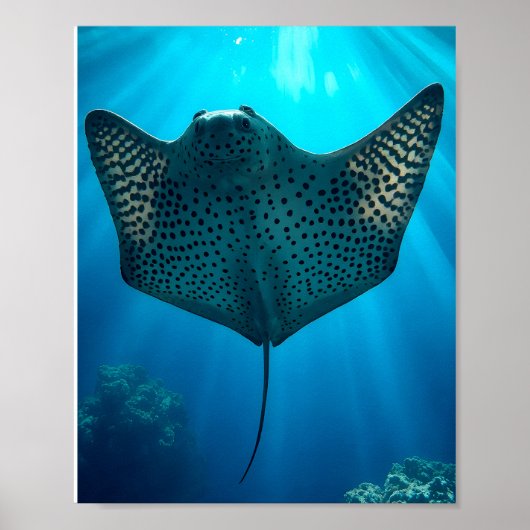 Graceful Spotted Ray: onderwater sereniteit Poster (Voorkant)