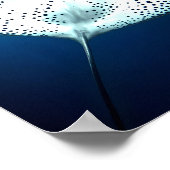 Graceful Spotted Ray: onderwater sereniteit Poster (Hoek)