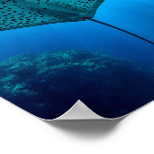 Graceful Spotted Ray: onderwater sereniteit Poster (Hoek)