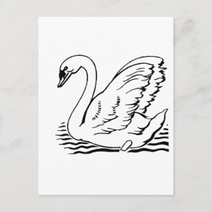 Graceful Swan Briefkaart