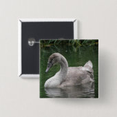 Graceful Swan op de Button Water (Voorkant /achterkant)