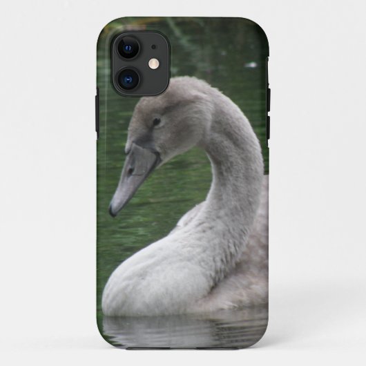 Graceful Swan op de WateriPhone Case (Achterkant)