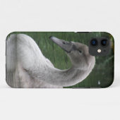 Graceful Swan op de WateriPhone Case (Achterkant (horizontaal))
