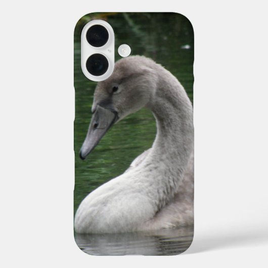 Graceful Swan op de WateriPhone Case (Achterkant)