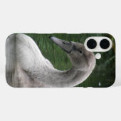 Graceful Swan op de WateriPhone Case (Achterkant (horizontaal))