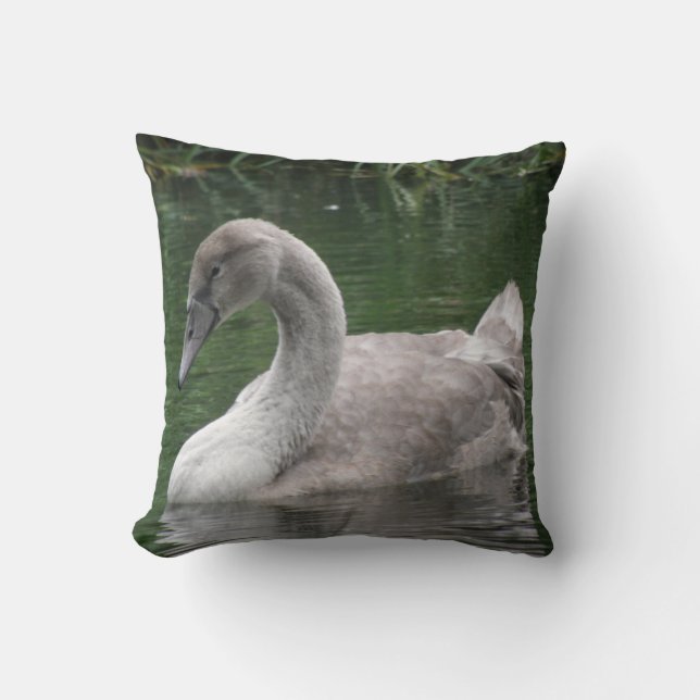 Graceful Swan op de waterloods Kussen (Voorkant)