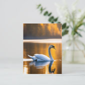 Graceful Swan op een meer Briefkaart (Staand voorkant)