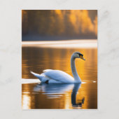 Graceful Swan op een meer Briefkaart (Voorkant)