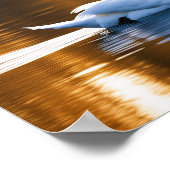 Graceful Swan op een meer Poster (Hoek)