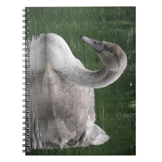 Graceful Swan op het Notitieboek Water (Voorkant)