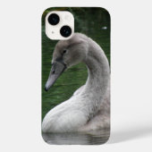 Graceful Swan op het water Case-Mate iPhone Case (Achterkant)