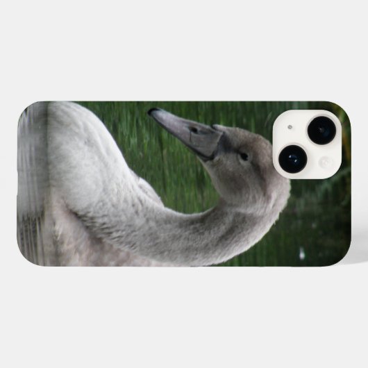 Graceful Swan op het water Case-Mate iPhone Case (Achterkant (horizontaal))