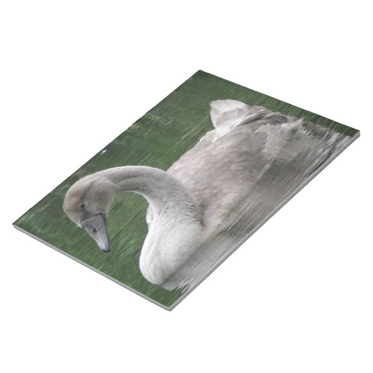 Graceful Swan op het waternotebookscherm Notitieblok (Schuin)