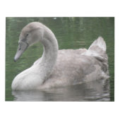 Graceful Swan op het waternotebookscherm Notitieblok (Voorkant)