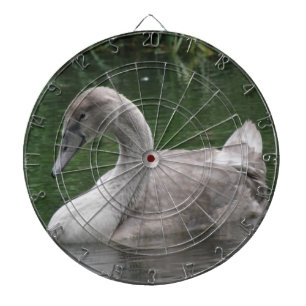 Graceful Swan op het waterzuiveringsbord Dartbord