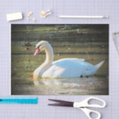 Graceful Swan Tissuepapier (Craft)