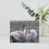 Graceful swans briefkaart (Staand voorkant)
