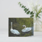Graceful Swans Briefkaart (Staand voorkant)