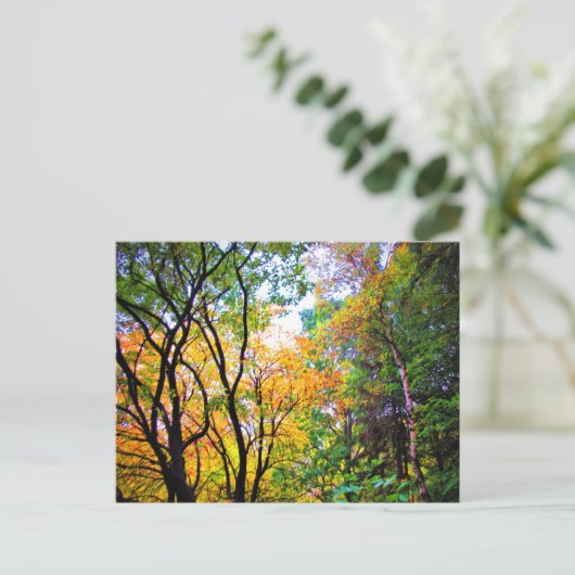 Graceful Trees Colorful Leaves Schilderachtig Natu Briefkaart (Staand voorkant)