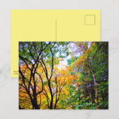 Graceful Trees Colorful Leaves Schilderachtig Natu Briefkaart (Voorkant / Achterkant)
