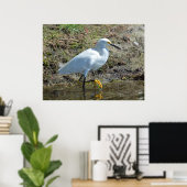Graceful white Egret bird Poster (Thuiskantoor)