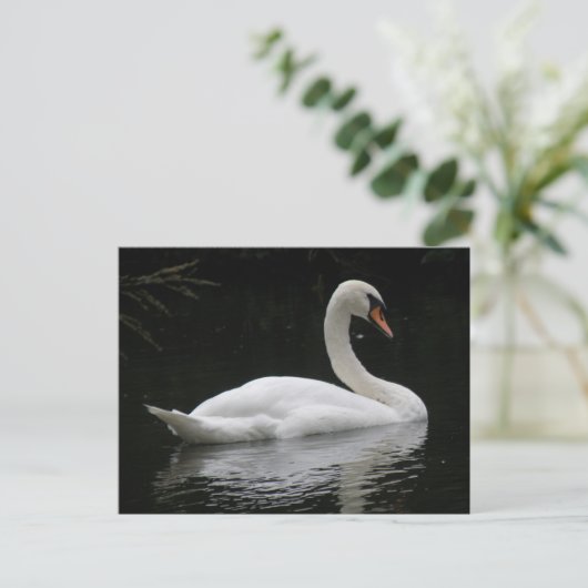 Graceful White Swan Briefkaart (Staand voorkant)