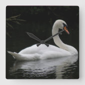 Graceful White Swan Clock Vierkante Klok (Voorkant)