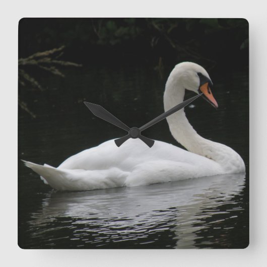 Graceful White Swan Clock Vierkante Klok (Voorkant)