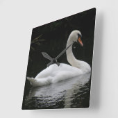 Graceful White Swan Clock Vierkante Klok (Hoek)