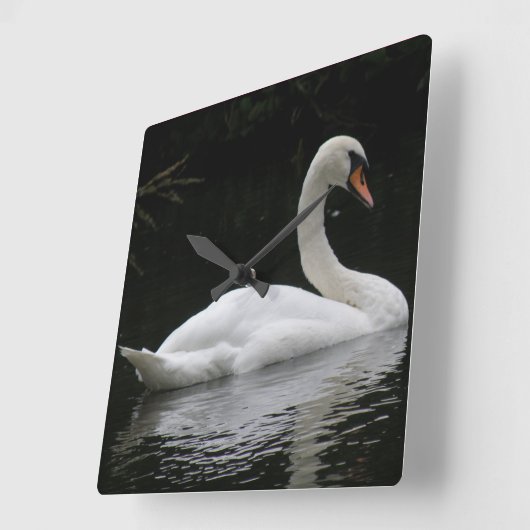 Graceful White Swan Clock Vierkante Klok (Hoek)