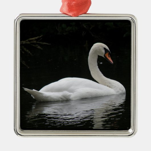Graceful White Swan Ornament (Voorkant)