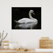 Graceful White Swan Poster (Keuken)