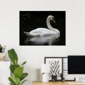 Graceful White Swan Poster (Thuiskantoor)