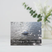 Gracefull Swan bij de Lake District Post Kaart (Staand voorkant)
